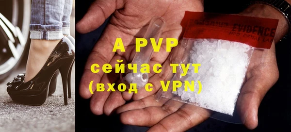 стафф Богородицк