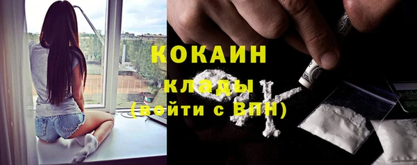 бошки Богданович