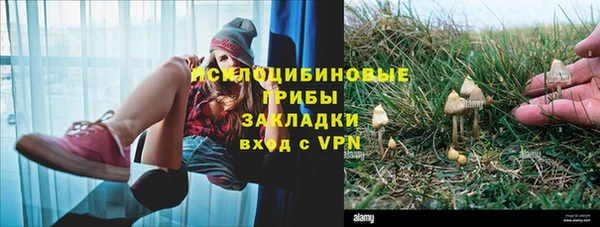 бошки Богданович