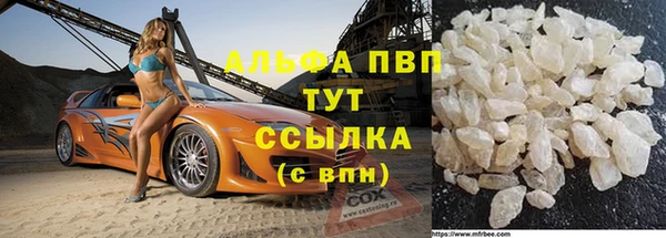 стафф Богородицк