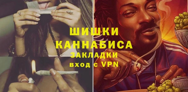бошки Богданович