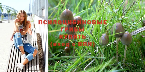 бошки Богданович