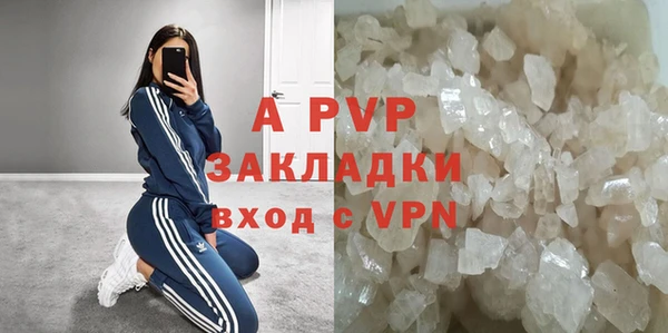 стафф Богородицк