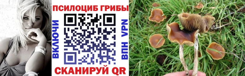 Псилоцибиновые грибы Psilocybine cubensis Реутов