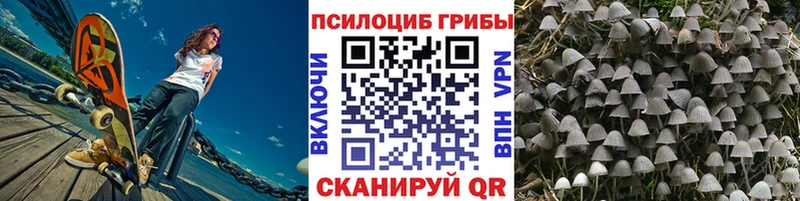 купить закладку  Реутов  дарк нет Telegram  Псилоцибиновые грибы мицелий 